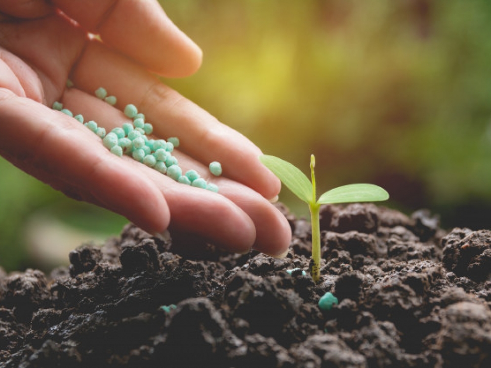 تاثیر گوگرد در کشاورزی