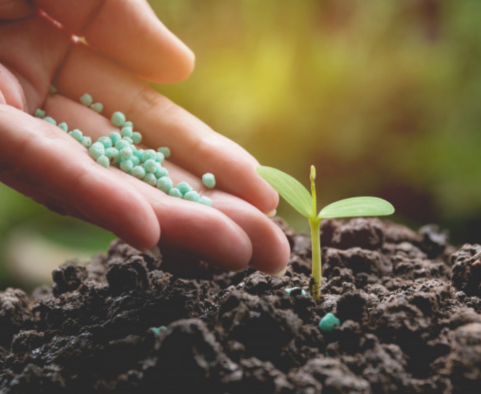 تاثیر گوگرد در کشاورزی